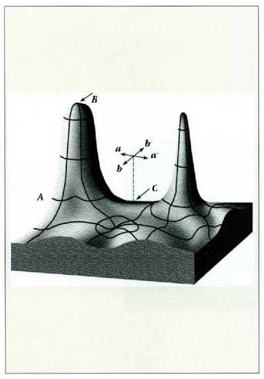 14.8: Grabitazio potentzialeko gainaldea, gainalde errealtzat bar daitekeena. A, B edo C puntuetan jarritako zatiki bat orekan dago; puntu horien plano ukitzailea horizontala da. Puntu horietan zatikia orekan dagoela esaten da. Baldin eta A puntuan zatikia apur bat mugitzen bada, berriro A puntura itzultzeko joera du. A oreka egonkorreko puntu bat da beraz. Baldin eta B puntuan zatiki bat apur bat mugitzen bada, gehiago urrunduko da jatorrizko kokagunetik. Horrenbestez, B puntua oreka ezegonkorreko puntu bat da. Azkenik, C puntuko zatikia apur bat mugitzen bada aa' norabidean, berriro C puntura itzultzeko joera izango du, baina bb' norabidean mugituz gero, mugimendua areagotuko da. C puntuari mendi arroilako puntu esaten zaio, arroilaren itxura duelako. Irudian ez da adierazi zatiki batek edozein gainalde lau horizontalean izango lukeen orobateko orekari dagokion kokagunea.